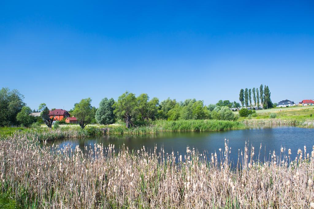 Zloty Staw Bed & Breakfast Borkowo  Exterior photo